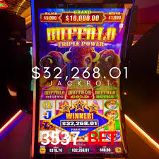 Cassino Online Seguro 3537 BET